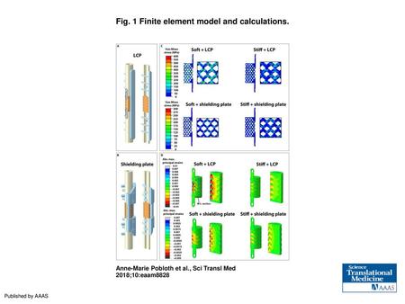 Fig. 1 Finite element model and calculations.