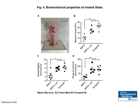 Fig. 4. Biomechanical properties of treated tibiae.