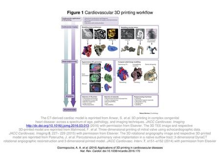 Figure 1 Cardiovascular 3D printing workflow