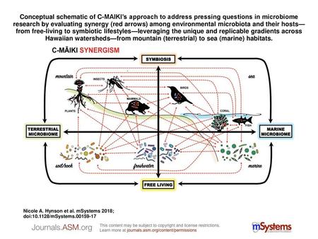 Conceptual schematic of C-MAIKI’s approach to address pressing questions in microbiome research by evaluating synergy (red arrows) among environmental.