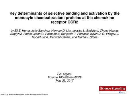 Key determinants of selective binding and activation by the monocyte chemoattractant proteins at the chemokine receptor CCR2 by Zil E. Huma, Julie Sanchez,