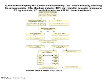 ECG: electrocardiogram; PFT: pulmonary function testing; Dlco: diffusion capacity of the lung for carbon monoxide; BGA: blood gas analysis; HRCT: high-resolution.