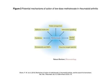 Nat. Rev. Rheumatol. doi: /nrrheum