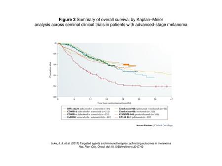 Figure 3 Summary of overall survival by Kaplan–Meier