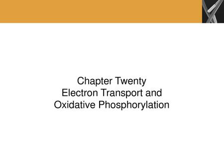 Electron Transport and Oxidative Phosphorylation