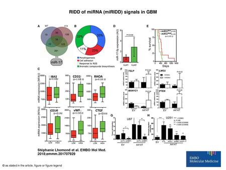 RIDD of miRNA (miRIDD) signals in GBM