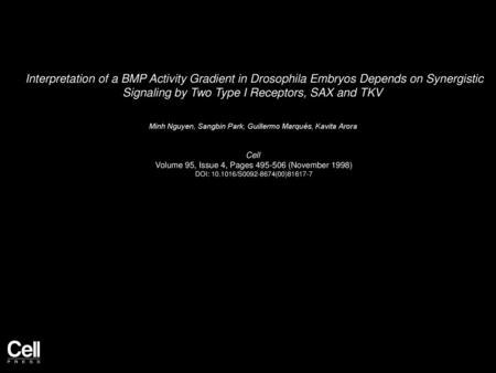 Interpretation of a BMP Activity Gradient in Drosophila Embryos Depends on Synergistic Signaling by Two Type I Receptors, SAX and TKV  Minh Nguyen, Sangbin.