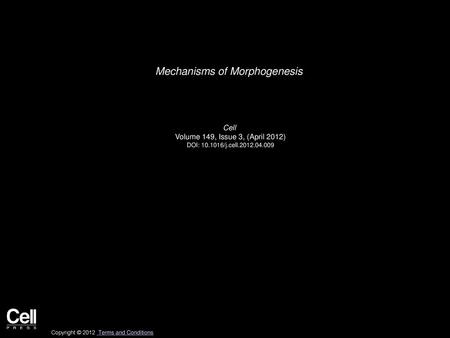 Mechanisms of Morphogenesis