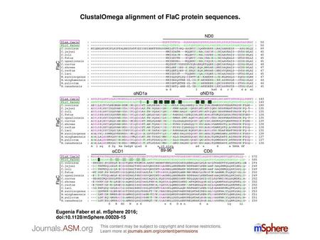 ClustalOmega alignment of FlaC protein sequences.