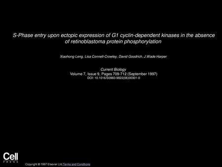 S-Phase entry upon ectopic expression of G1 cyclin-dependent kinases in the absence of retinoblastoma protein phosphorylation  Xiaohong Leng, Lisa Connell-Crowley,