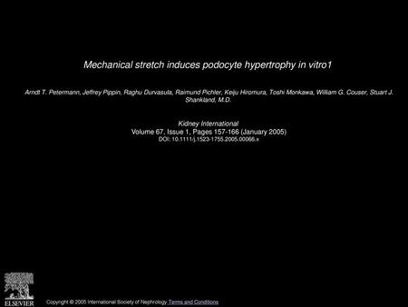 Mechanical stretch induces podocyte hypertrophy in vitro1