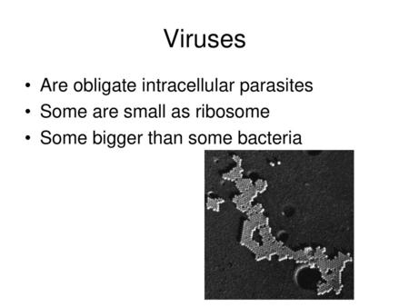 Viruses Are obligate intracellular parasites