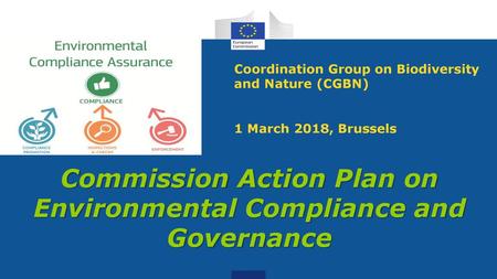 Commission Action Plan on Environmental Compliance and Governance