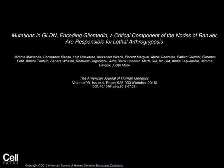 Mutations in GLDN, Encoding Gliomedin, a Critical Component of the Nodes of Ranvier, Are Responsible for Lethal Arthrogryposis  Jérôme Maluenda, Constance.