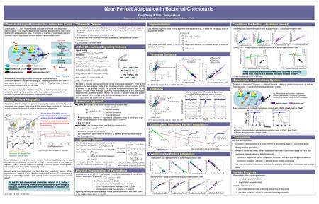 Near-Perfect Adaptation in Bacterial Chemotaxis