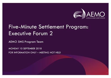 Five-Minute Settlement Program: Executive Forum 2