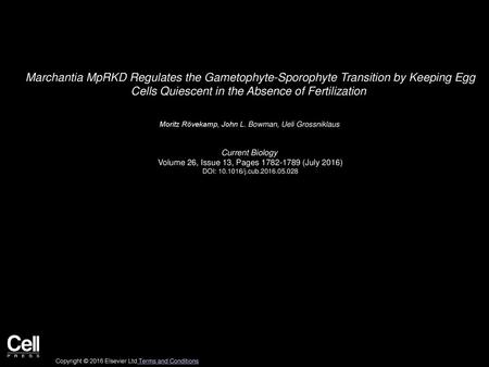 Marchantia MpRKD Regulates the Gametophyte-Sporophyte Transition by Keeping Egg Cells Quiescent in the Absence of Fertilization  Moritz Rövekamp, John L.