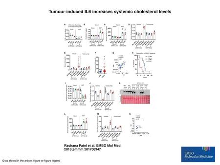 Tumour‐induced IL6 increases systemic cholesterol levels