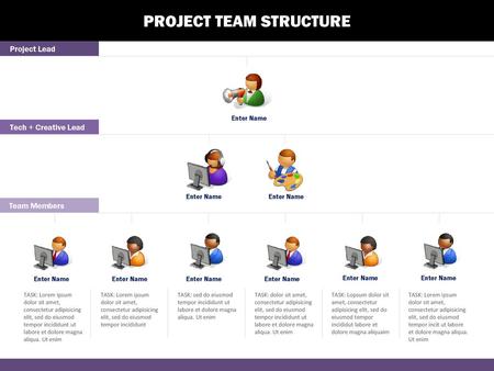 PROJECT TEAM STRUCTURE