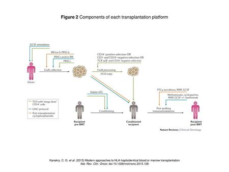 Figure 2 Components of each transplantation platform