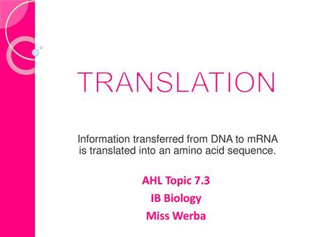 TRANSLATION AHL Topic 7.3 IB Biology Miss Werba