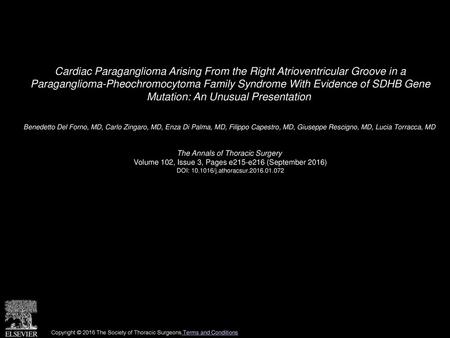 Cardiac Paraganglioma Arising From the Right Atrioventricular Groove in a Paraganglioma-Pheochromocytoma Family Syndrome With Evidence of SDHB Gene Mutation: