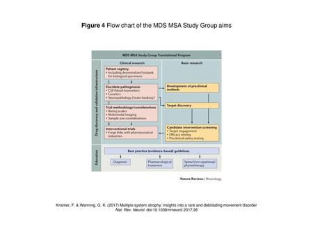 Figure 4 Flow chart of the MDS MSA Study Group aims