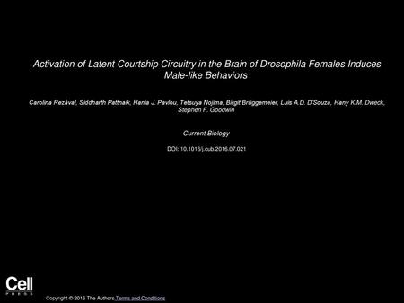 Activation of Latent Courtship Circuitry in the Brain of Drosophila Females Induces Male-like Behaviors  Carolina Rezával, Siddharth Pattnaik, Hania J.