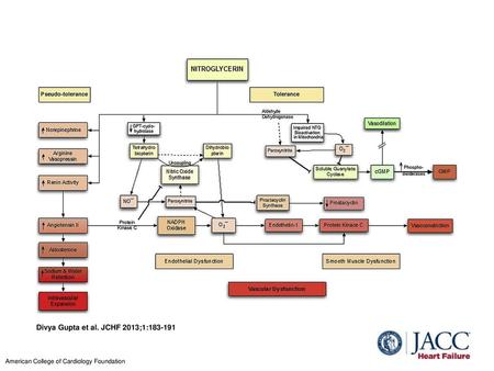 Divya Gupta et al. JCHF 2013;1: