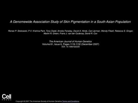 A Genomewide Association Study of Skin Pigmentation in a South Asian Population  Renee P. Stokowski, P.V. Krishna Pant, Tony Dadd, Amelia Fereday, David.