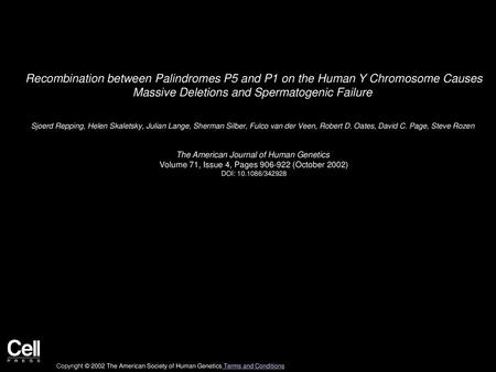 Recombination between Palindromes P5 and P1 on the Human Y Chromosome Causes Massive Deletions and Spermatogenic Failure  Sjoerd Repping, Helen Skaletsky,