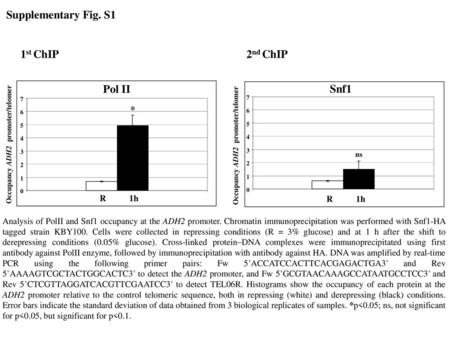 Supplementary Fig. S1 1st ChIP 2nd ChIP Pol II Snf1 *