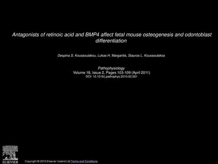 Antagonists of retinoic acid and BMP4 affect fetal mouse osteogenesis and odontoblast differentiation  Despina S. Koussoulakou, Lukas H. Margaritis, Stauros.