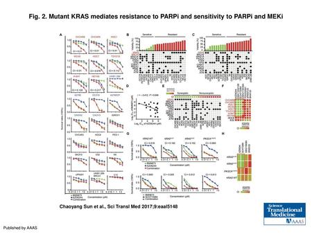 Fig. 2. Mutant KRAS mediates resistance to PARPi and sensitivity to PARPi and MEKi Mutant KRAS mediates resistance to PARPi and sensitivity to PARPi and.