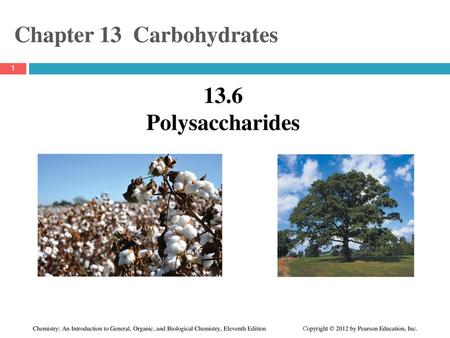 Chapter 13  Carbohydrates