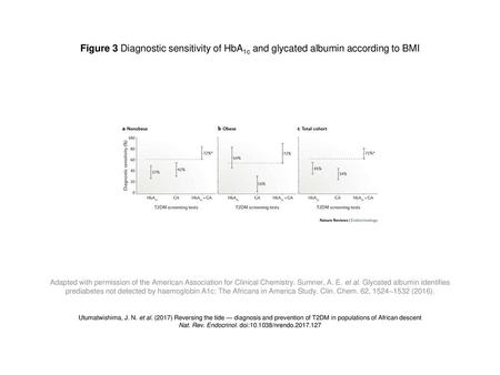 Nat. Rev. Endocrinol. doi: /nrendo