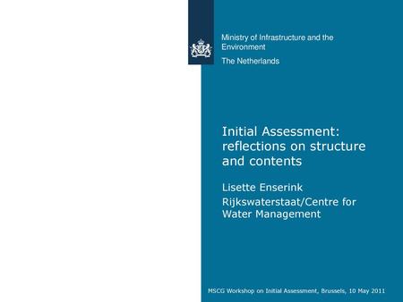 Initial Assessment: reflections on structure and contents