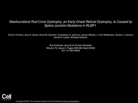 Newfoundland Rod-Cone Dystrophy, an Early-Onset Retinal Dystrophy, Is Caused by Splice-Junction Mutations in RLBP1  Erica R. Eichers, Jane S. Green, David.