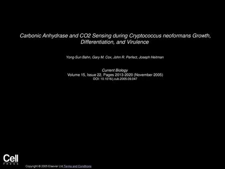 Carbonic Anhydrase and CO2 Sensing during Cryptococcus neoformans Growth, Differentiation, and Virulence  Yong-Sun Bahn, Gary M. Cox, John R. Perfect,