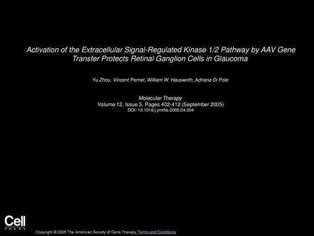 Activation of the Extracellular Signal-Regulated Kinase 1/2 Pathway by AAV Gene Transfer Protects Retinal Ganglion Cells in Glaucoma  Yu Zhou, Vincent.