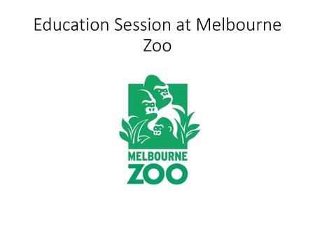 Education Session at Melbourne Zoo