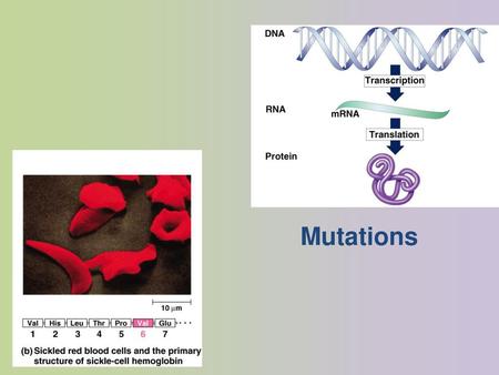 Mutations.