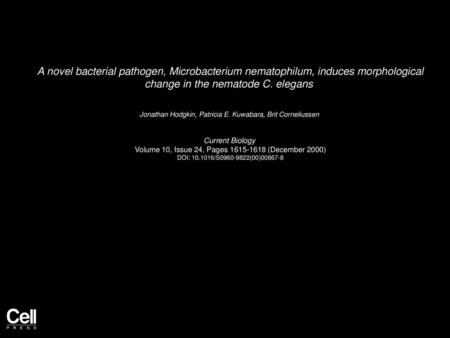 A novel bacterial pathogen, Microbacterium nematophilum, induces morphological change in the nematode C. elegans  Jonathan Hodgkin, Patricia E. Kuwabara,