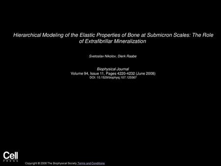 Hierarchical Modeling of the Elastic Properties of Bone at Submicron Scales: The Role of Extrafibrillar Mineralization  Svetoslav Nikolov, Dierk Raabe 