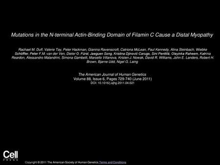 Mutations in the N-terminal Actin-Binding Domain of Filamin C Cause a Distal Myopathy  Rachael M. Duff, Valerie Tay, Peter Hackman, Gianina Ravenscroft,