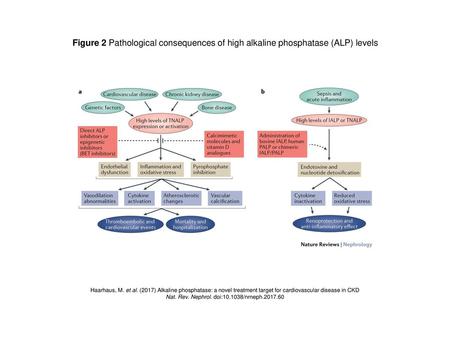 Nat. Rev. Nephrol. doi: /nrneph