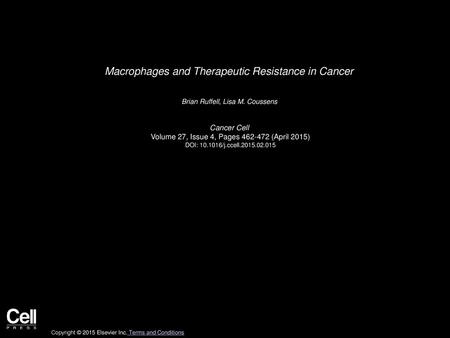 Macrophages and Therapeutic Resistance in Cancer