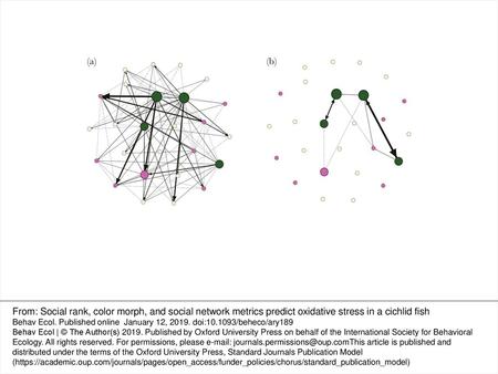 Figure 1 Weighted social networks for (a) chase behavior and (b) display behavior. Each node represents an individual, and individuals are in the same.