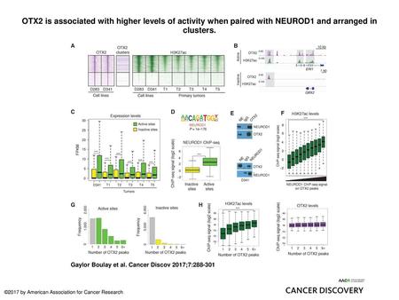 OTX2 is associated with higher levels of activity when paired with NEUROD1 and arranged in clusters. OTX2 is associated with higher levels of activity.