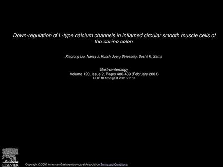 Down-regulation of L-type calcium channels in inflamed circular smooth muscle cells of the canine colon  Xiaorong Liu, Nancy J. Rusch, Joerg Striessnig,